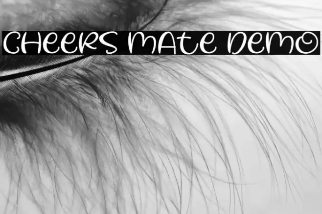 Cheers Mate Demo Font examples