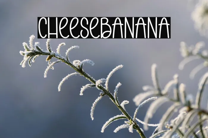 Cheese Banana Example 2
