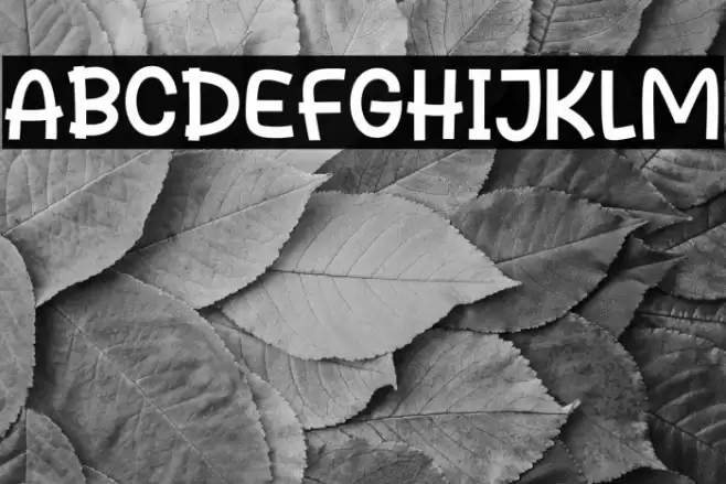 Cheese Bread Font examples