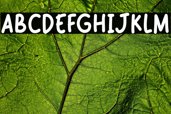 Cheese Burger Example 1