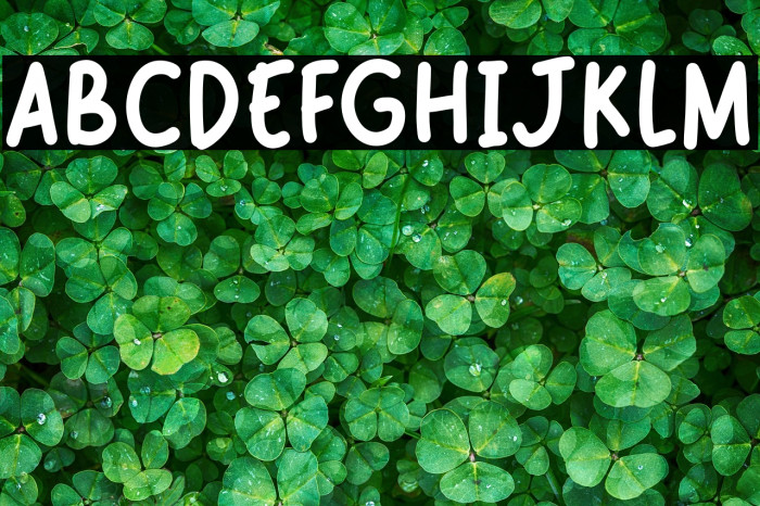 Cheese Burger Example 2