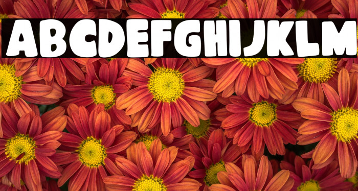 Cheese Butter Cream Font examples