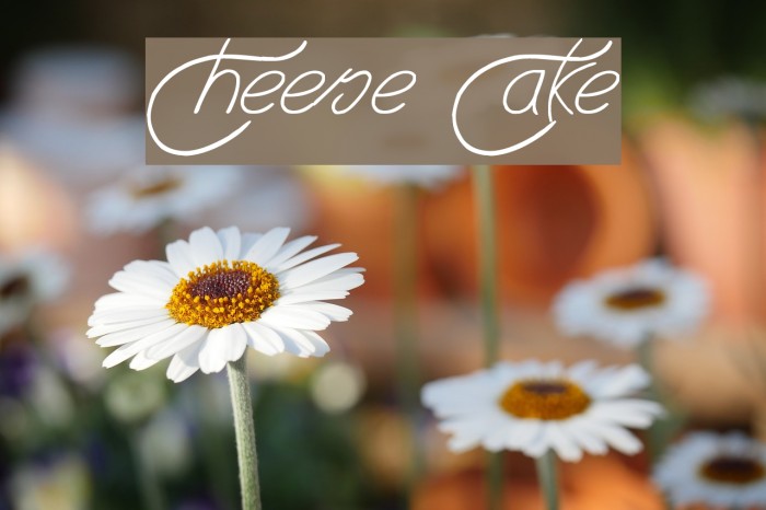 Cheese Cake Font examples