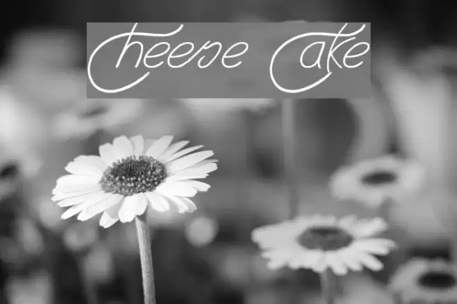 Cheese Cake Font examples