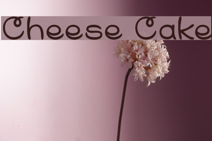 Cheese Cake Example 3