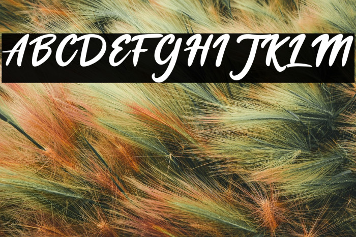 Cheese Cookies Example 1