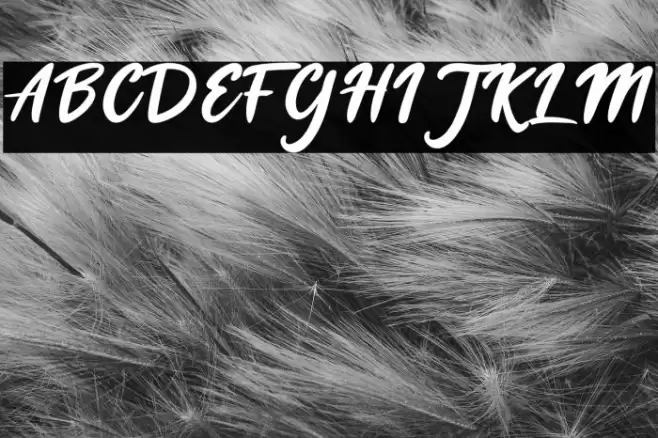 Cheese Cookies Font examples