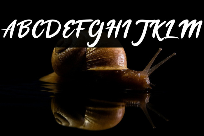 Cheese Cookies Example 3