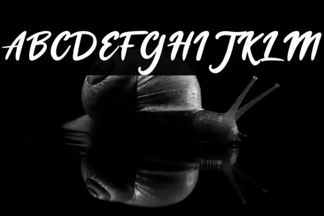 Cheese Cookies Font examples