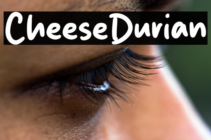 Cheese Durian Example 1