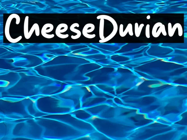 Cheese Durian Example 3