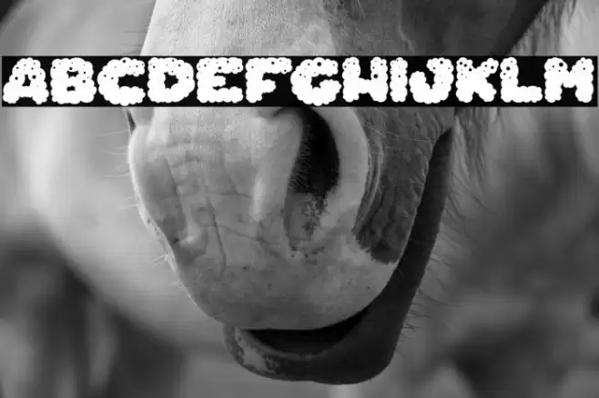 Cheese Farts_PersonalUseOnly Font examples