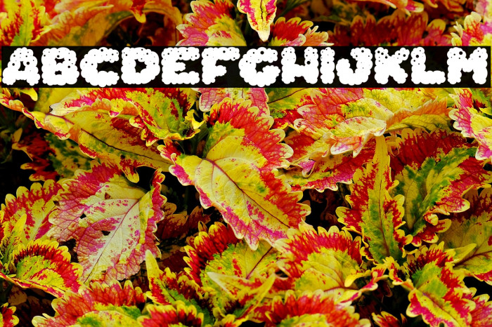 Cheese Farts_PersonalUseOnly Example 3