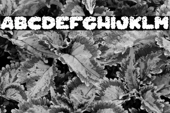 Cheese Farts_PersonalUseOnly Font examples