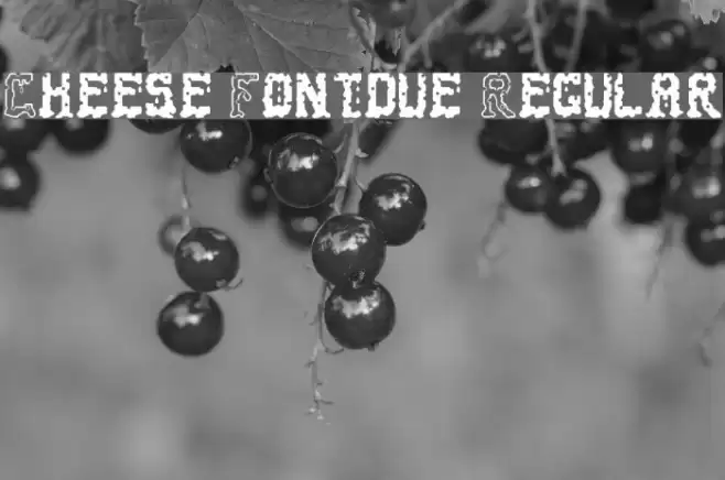 Cheese Fontdue Regular Font examples