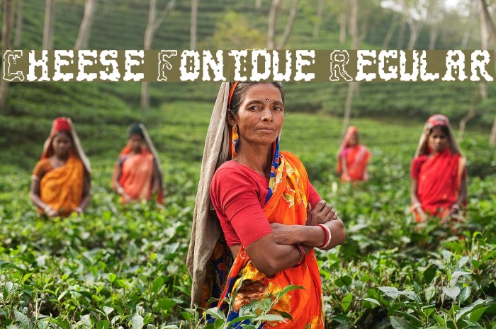 Cheese Fontdue Regular Example 2