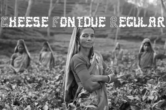 Cheese Fontdue Regular Font examples