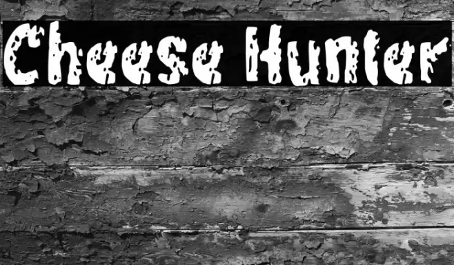 Cheese Hunter Font examples