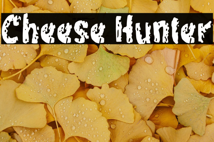 Cheese Hunter Example 2