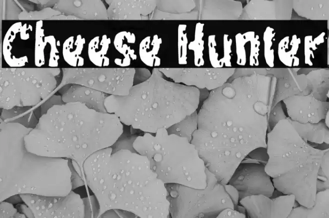 Cheese Hunter Font examples