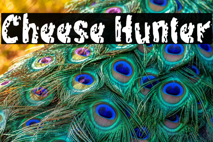 Cheese Hunter Example 3