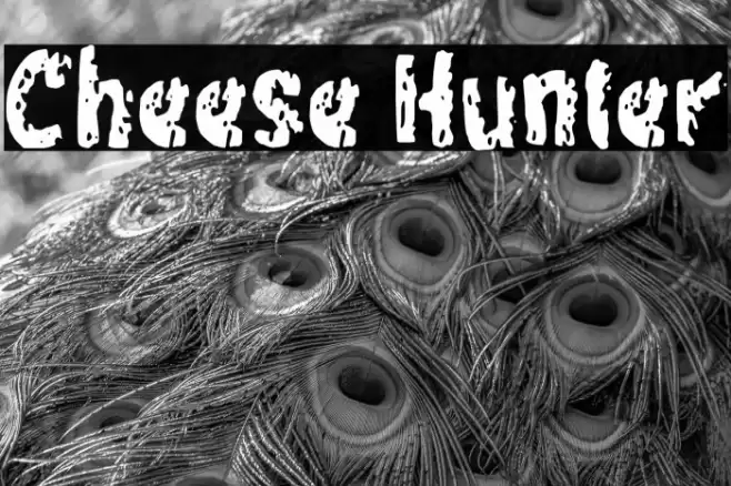 Cheese Hunter Font examples