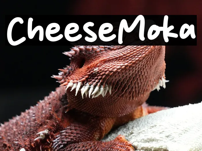 Cheese Moka Example 3