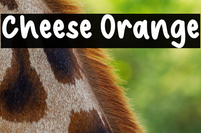 Cheese Orange Example 1