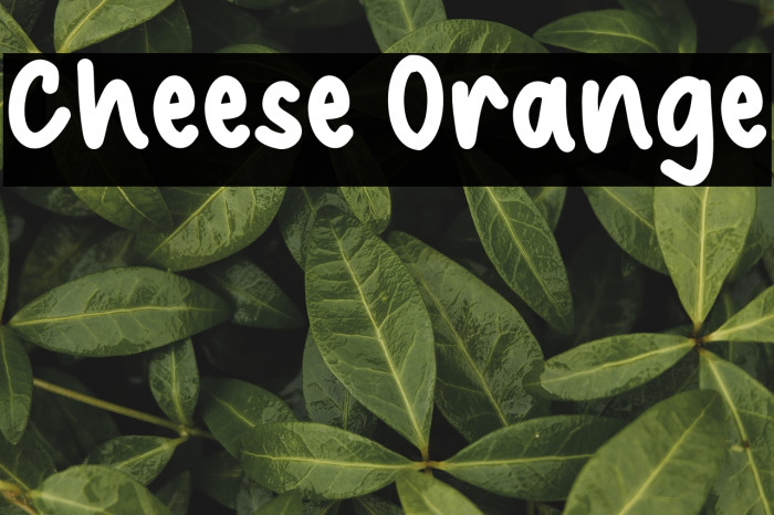 Cheese Orange Example 3