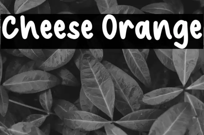 Cheese Orange फ़ॉन्ट examples