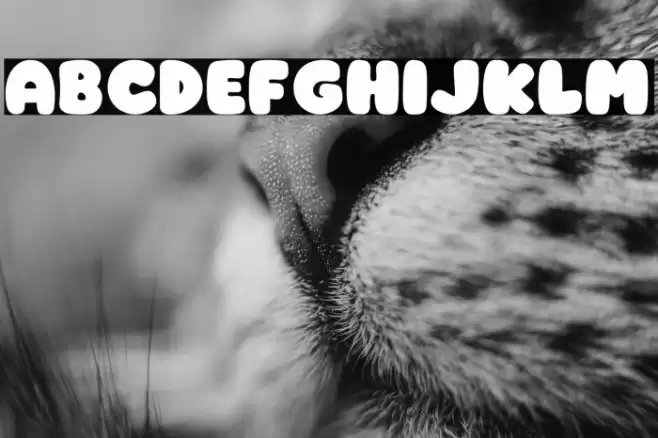 Cheese PERSONAL USE ONLY! Fuentes examples