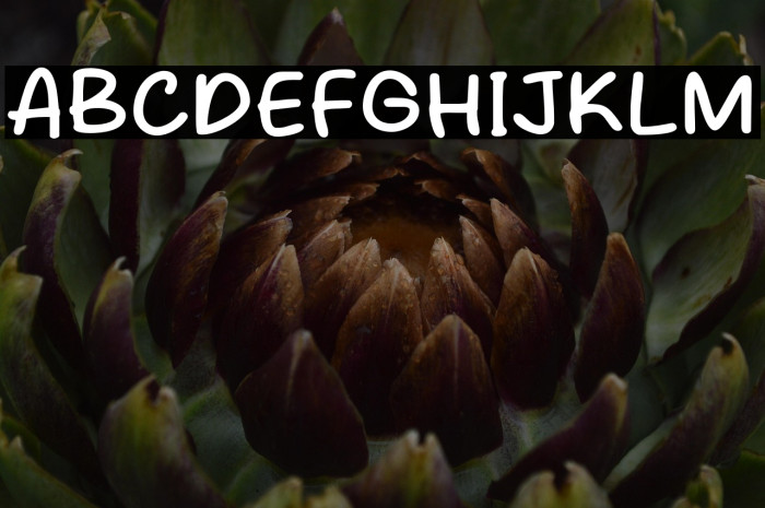 Cheese Ramen Example 1