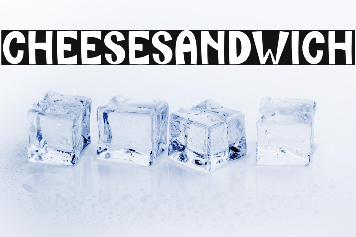 Cheese Sandwich Example 3