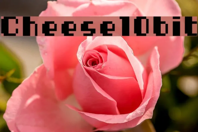 Cheese10bit Example 2
