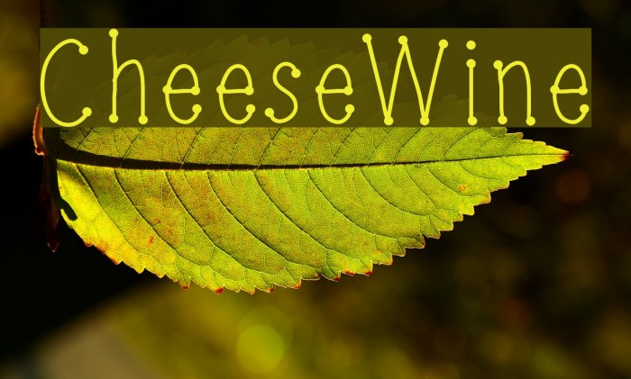 CheeseWine Font examples