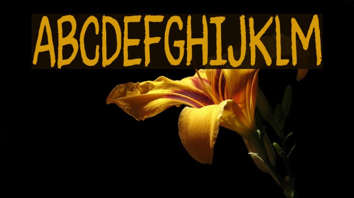CheesegumDEMO Font examples