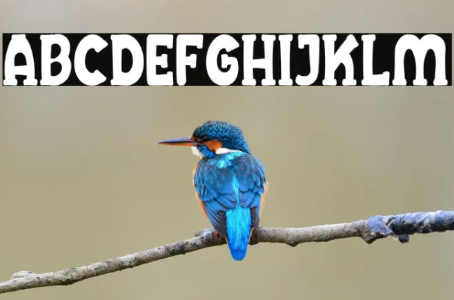 Cheesel Example 2
