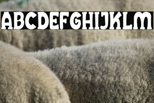 Cheesel Example 3