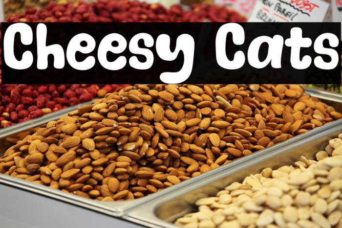 Cheesy Cats Example 1