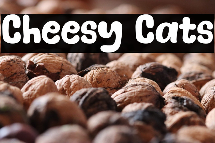 Cheesy Cats Example 2