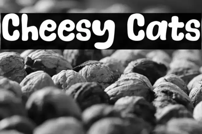 Cheesy Cats Fuentes examples