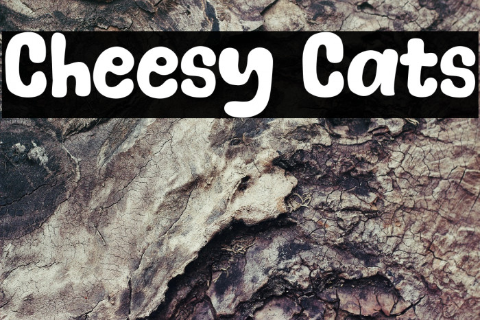 Cheesy Cats Example 3