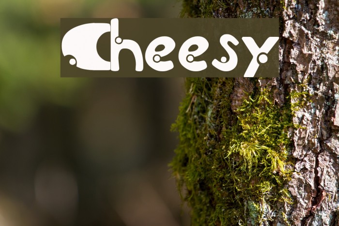 Cheesy Font examples