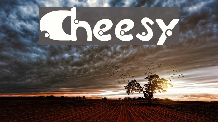Cheesy Font examples