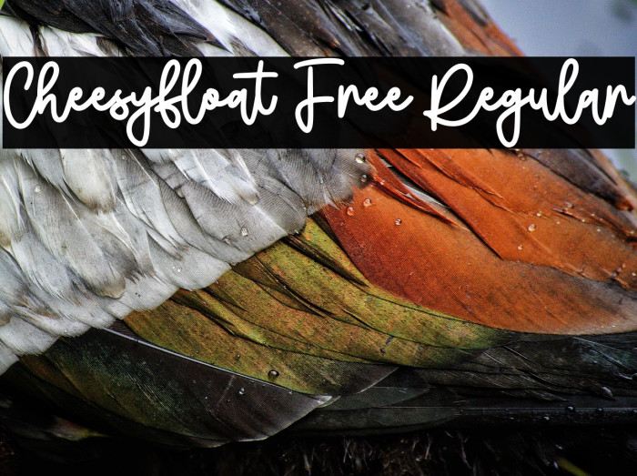 Cheesyfloat Free Regular Example 3
