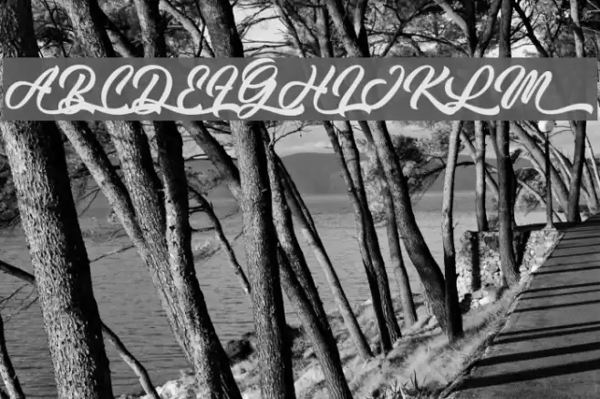 Cheetah Kick - Personal Use Font examples