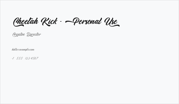 Cheetah Kick - Personal Use Business Card