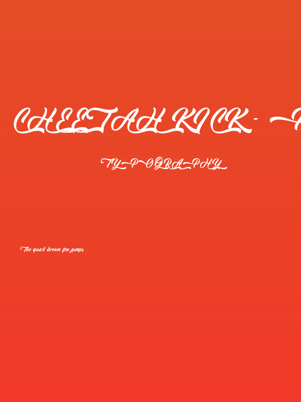 Cheetah Kick - Personal Use Poster