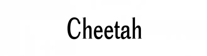 Cheetah  免费字体下载