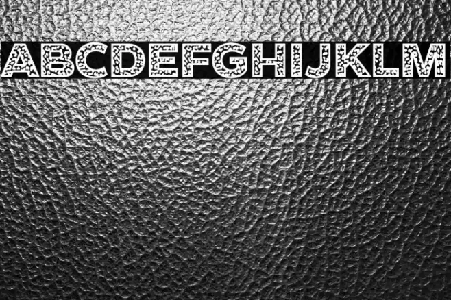 Cheetah Font examples